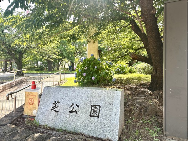 「港区立芝公園」、約９５０ｍ、徒歩１２分