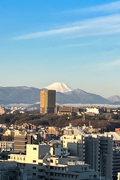 季節や気候により、遠くの山々の中に富士山を望むことができます。