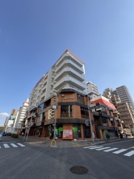 外観図