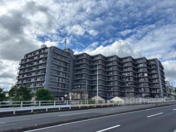 外観図