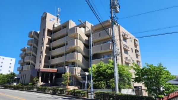 外観図