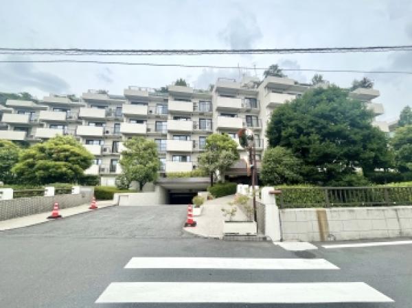 外観図