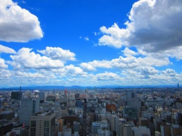その他の画像1