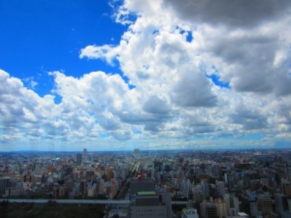 その他の画像2