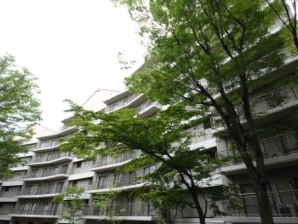 外観図