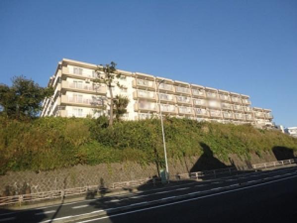 その他の画像1