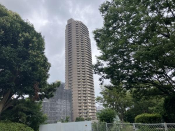 外観図