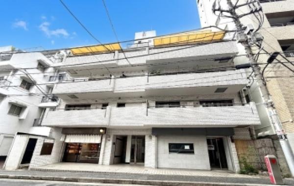 外観図