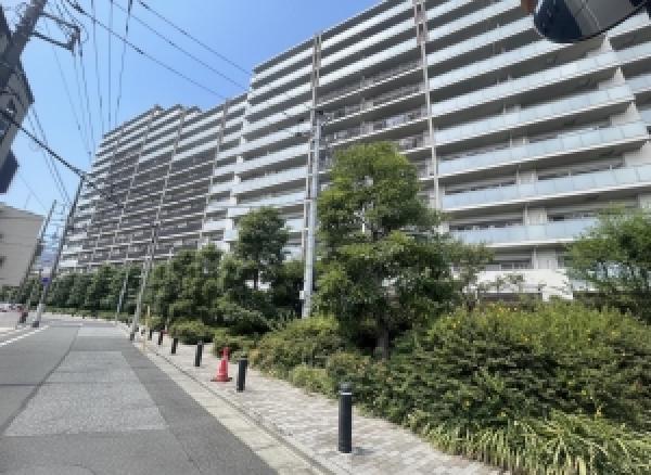 その他の画像1