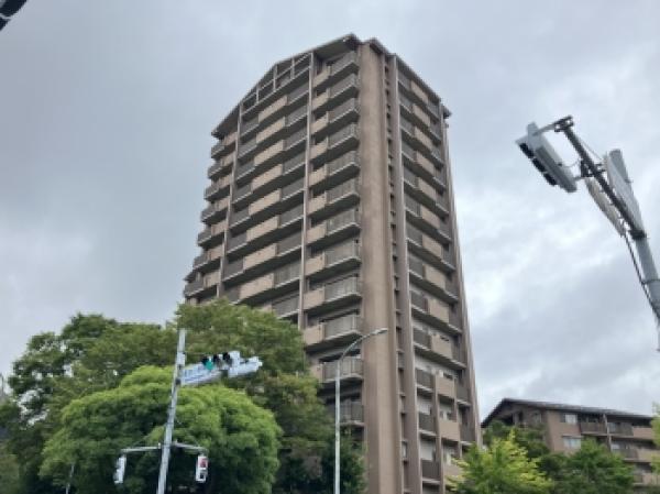 外観図