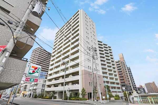 外観図