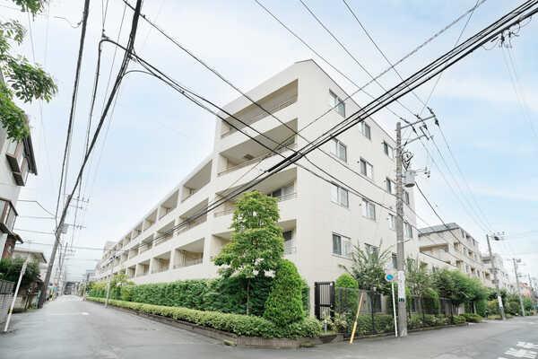 外観図