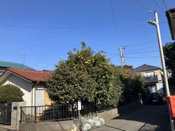 その他の画像4