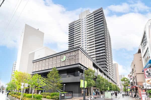 外観図