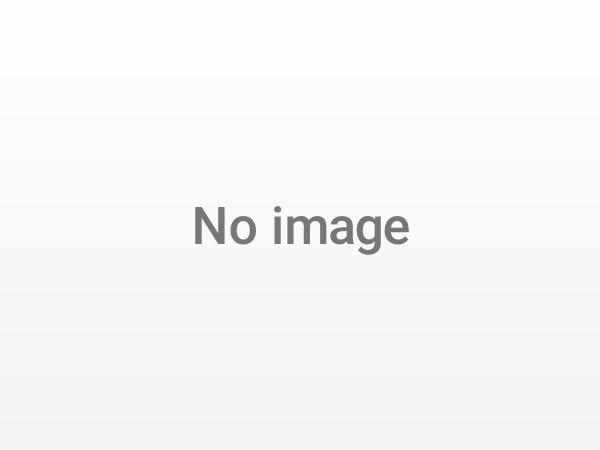 その他の画像1
