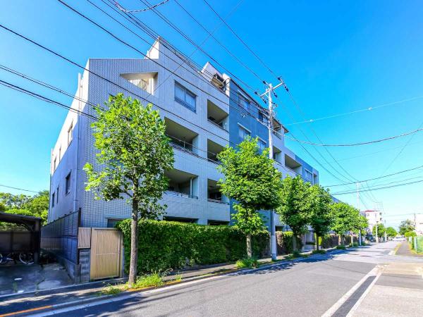 その他の画像1