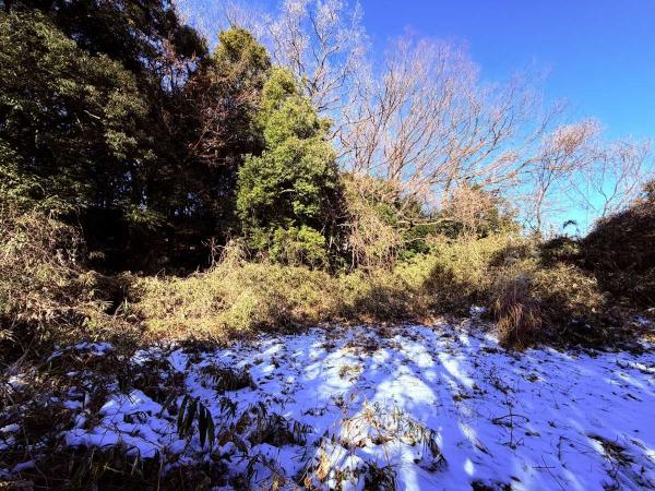 その他の画像4