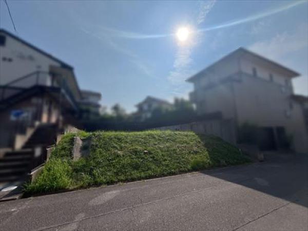 その他の画像1