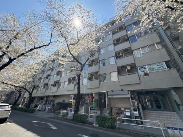 その他の画像2