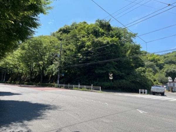 外観図