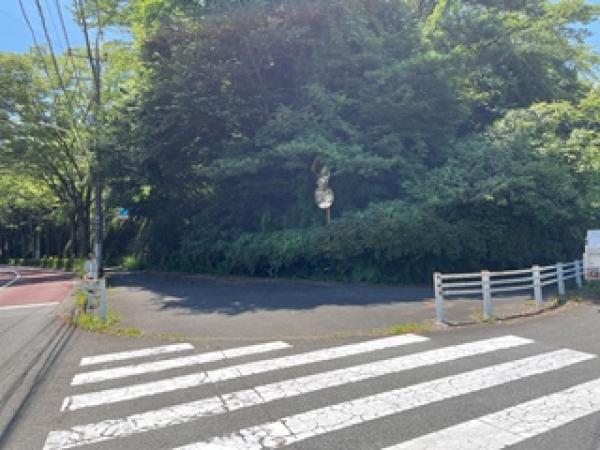 その他の画像1