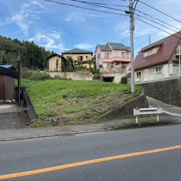 外観図