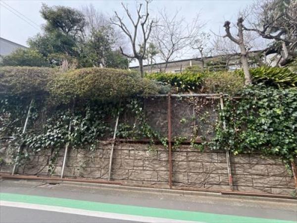 その他の画像2