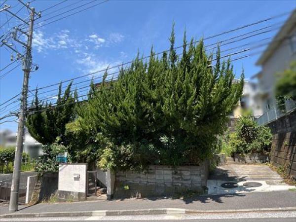 外観図