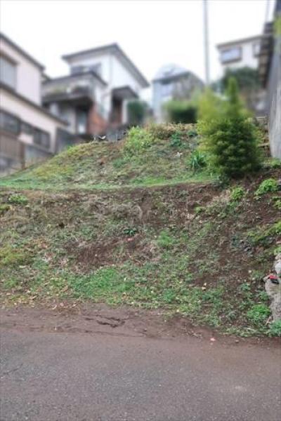 その他の画像3