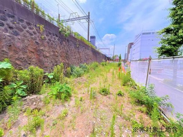 その他の画像1