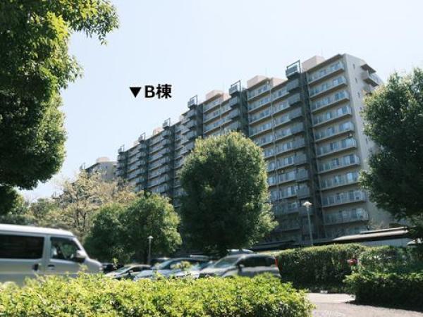 外観図