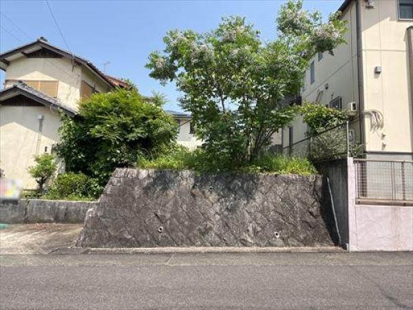 その他の画像1