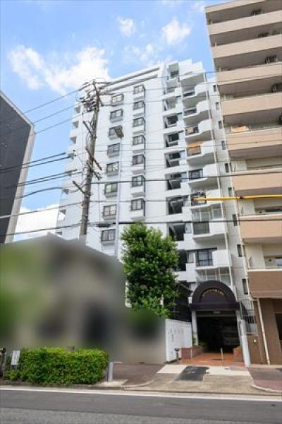 外観図