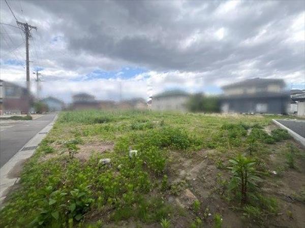 その他の画像4