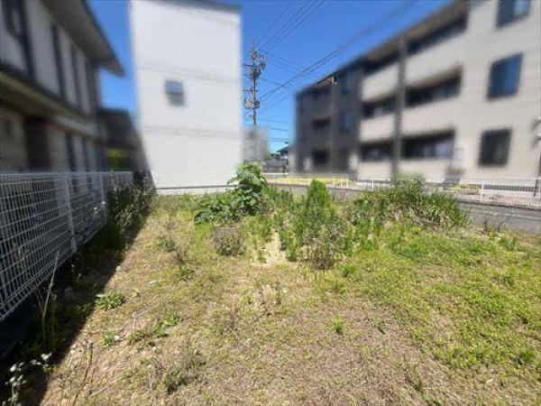 その他の画像4
