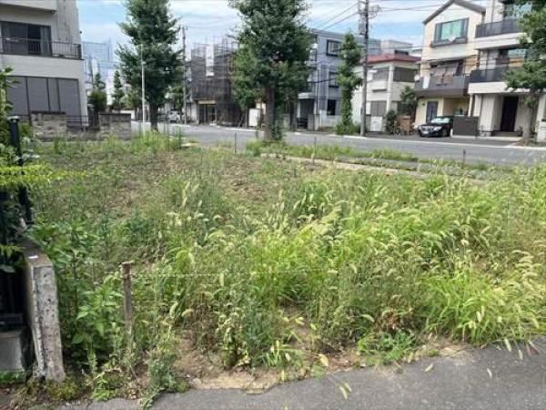 その他の画像1
