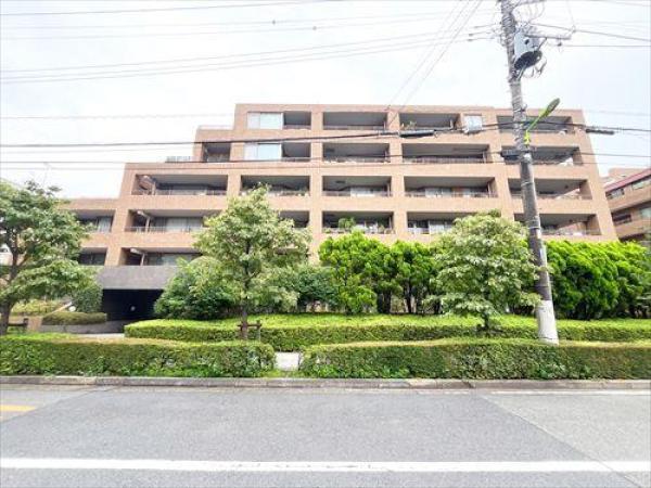 外観図