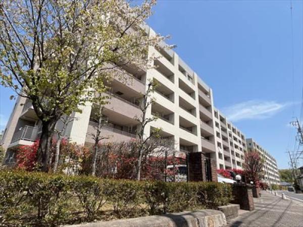 外観図