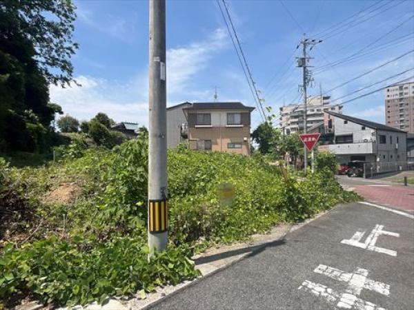 その他の画像4