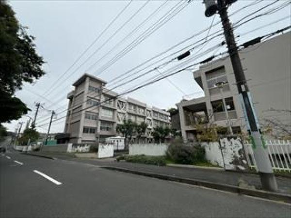その他の画像4