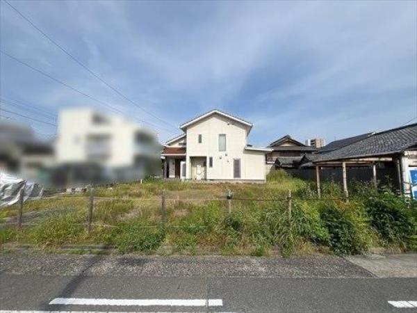 外観図
