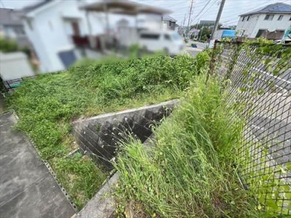 外観図