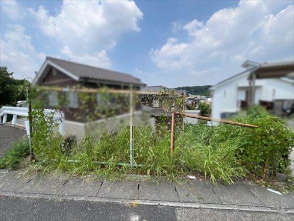 その他の画像1
