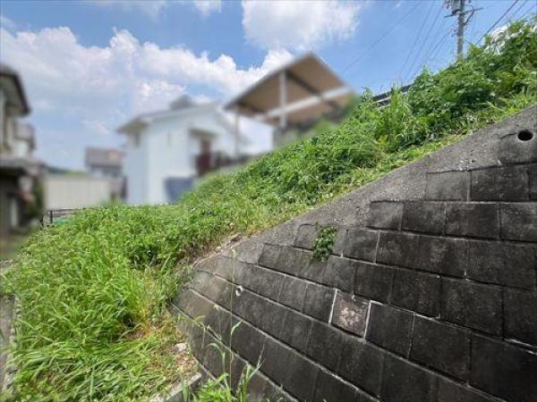 その他の画像2