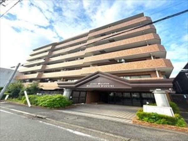 外観図