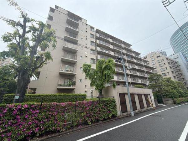 その他の画像1