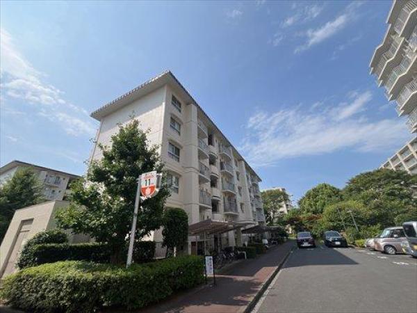 外観図
