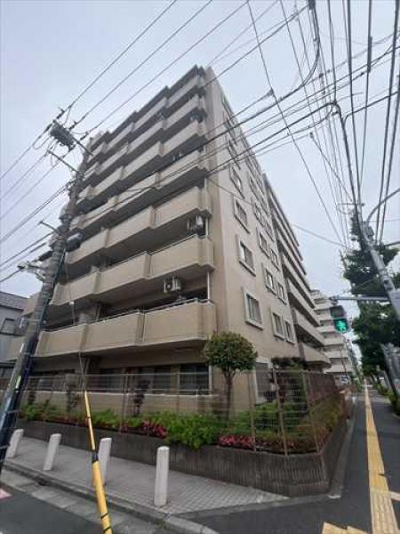 外観図
