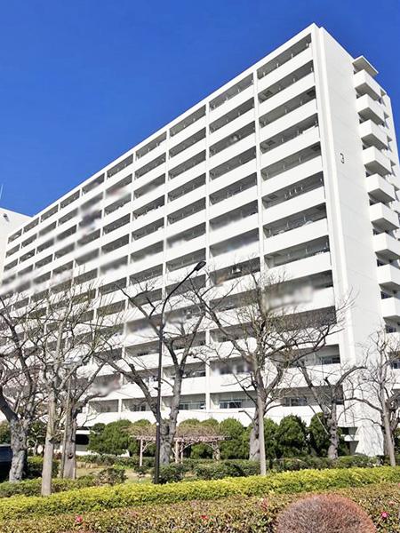 外観図