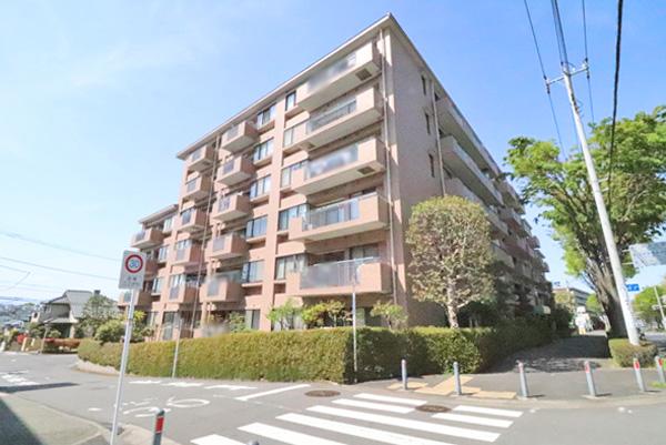 外観図